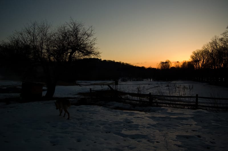 A Field, Plus Jebedaiah