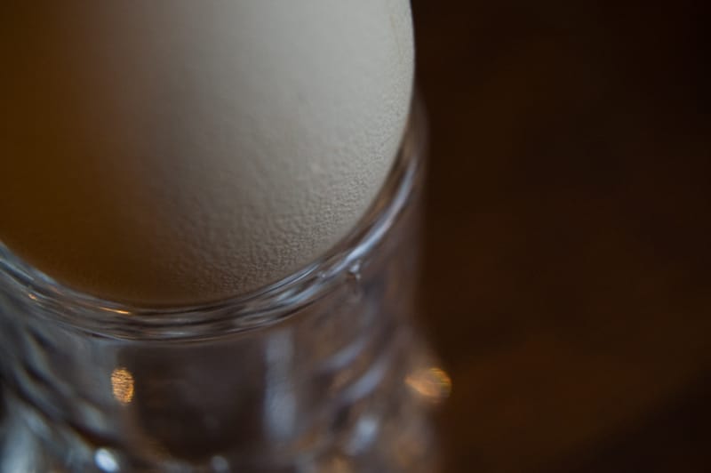 Guinea Egg Study