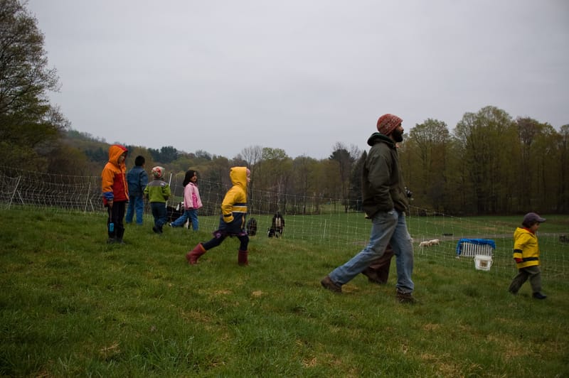 Farm Invasion
