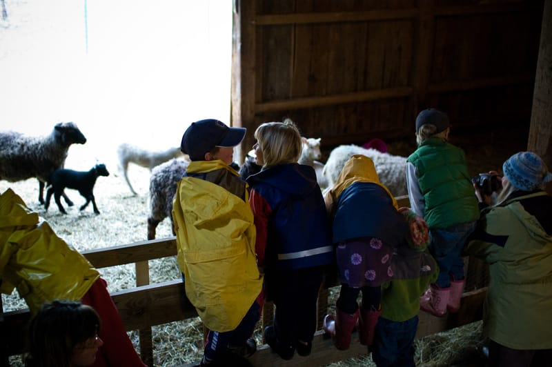 Farm Invasion