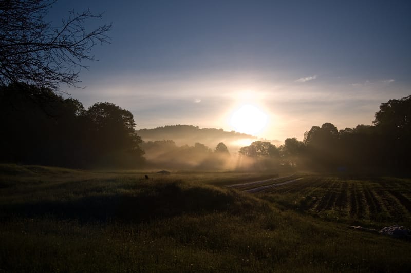 Good Morning Farm