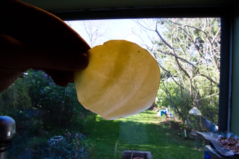 3 Week Provolone, Slicing