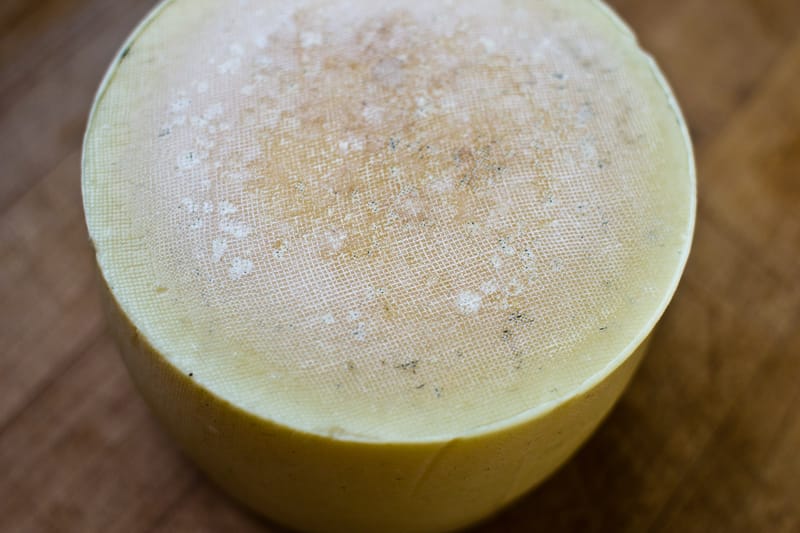 Cheese Updates